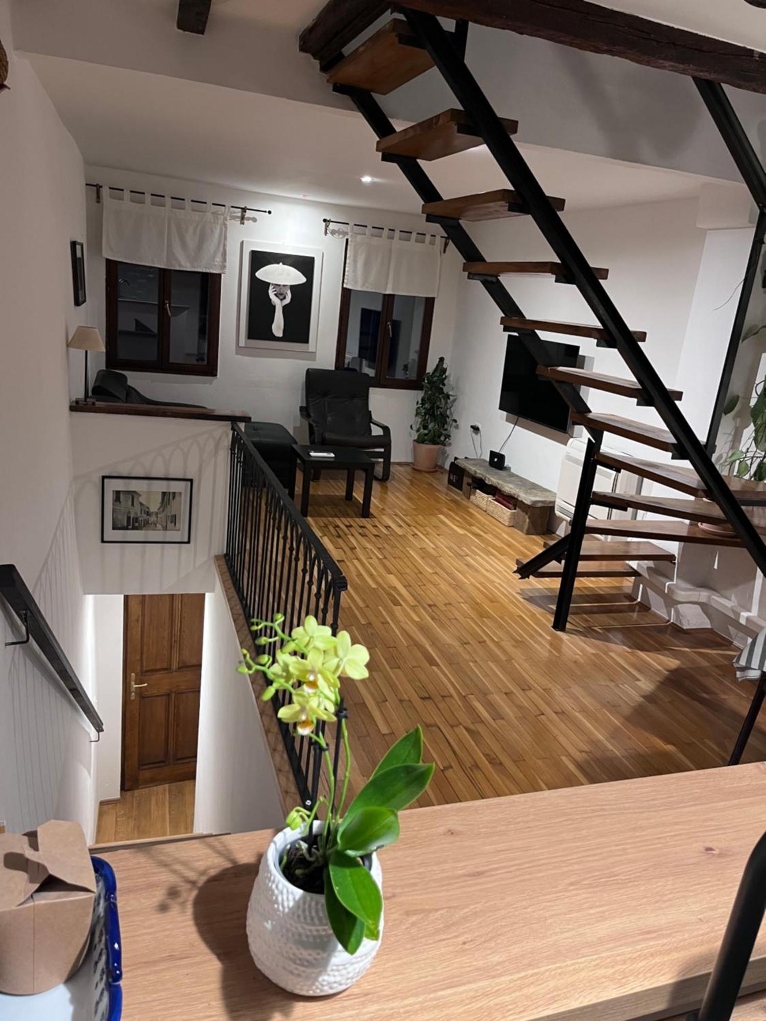 Apartment Capo D'Istria โคเปร์ ภายนอก รูปภาพ